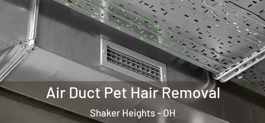 Air Duct Pet Hair Removal Shaker Heights - OH