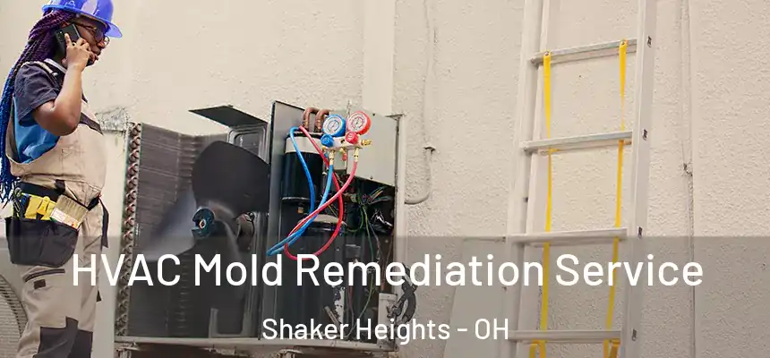 HVAC Mold Remediation Service Shaker Heights - OH