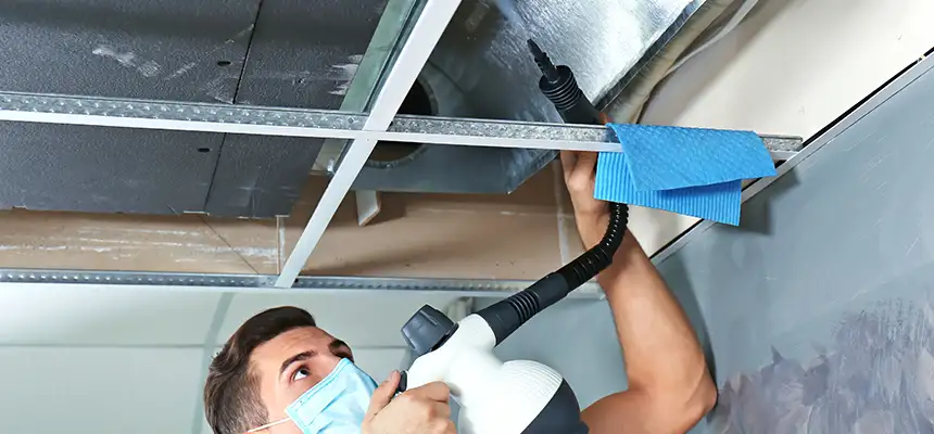 Our Air Duct Rodent Removal Services in Shaker Heights, OH
