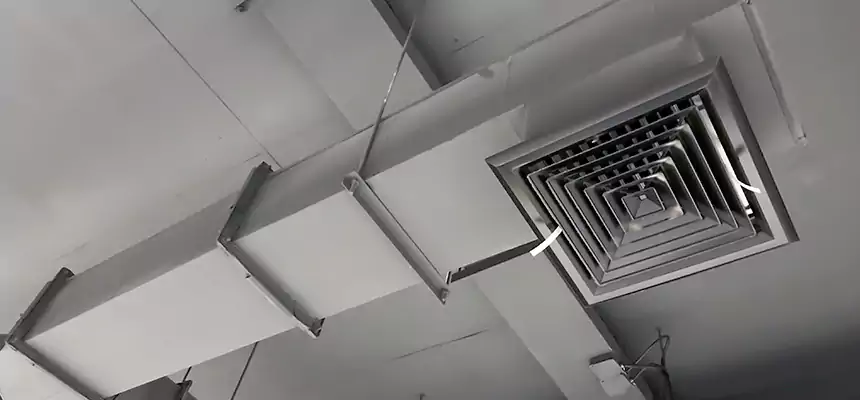 Our Rodent Droppings In Vents Services in Shaker Heights, OH