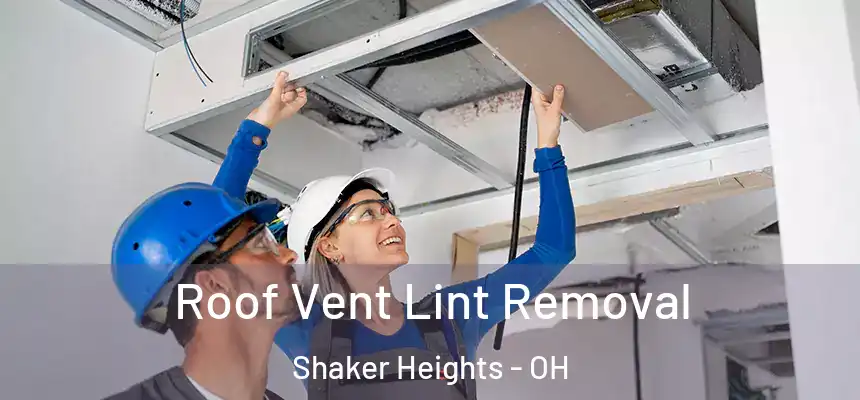 Roof Vent Lint Removal Shaker Heights - OH