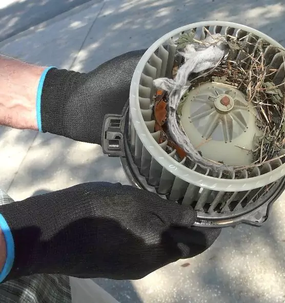 About Air Duct Rat Removal in Shaker Heights, OH