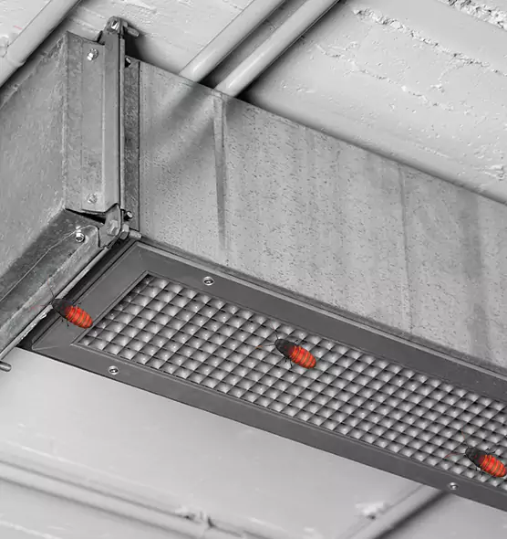 Affordable Insect Removal from Air Ducts in Shaker Heights, OH