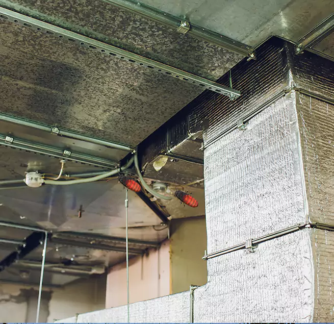 Why Homeowners & Businesses Trust Us in Shaker Heights, OH?