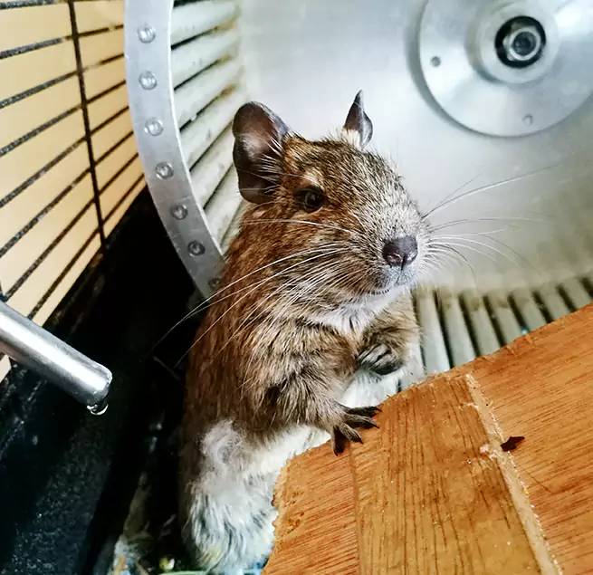 Why Homeowners & Businesses Trust Us Shaker Heights, OH?